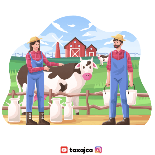 Dairy Farming