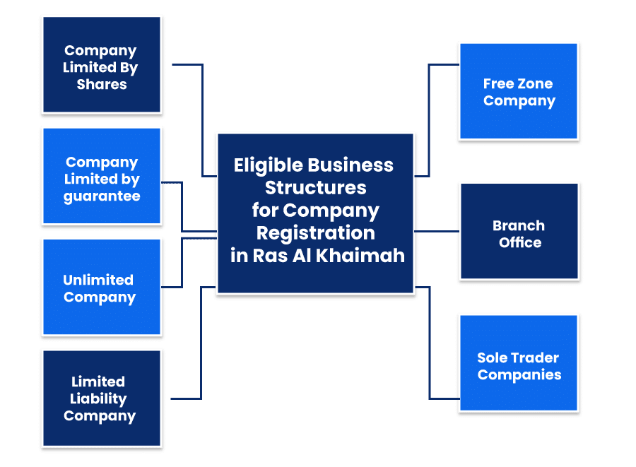 Eligible-Business-Structures-for-Company-Registration-in-Ras-Al-Khaimah