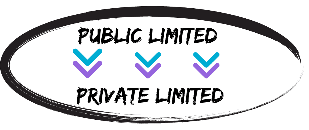 public ltd to private limited