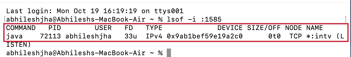 Mac Terminal lsof -i :1585 output showing java listening on port 1585 (intv) for the GST emSigner